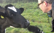 moo-man