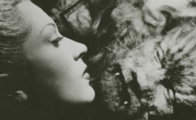 La Belle Et La Bette