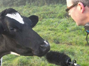 moo-man