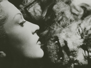 La Belle Et La Bette